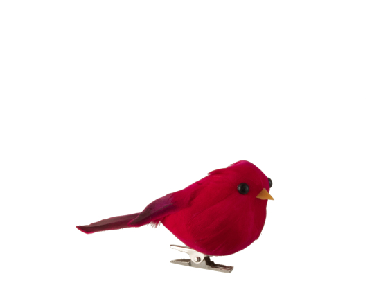 OISEAU CLIP ROUGE