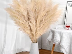 ZWEIG PAMPAGRASS / BRANCHE HERBE PAMPA  ARTIFICIELLE BEIGE